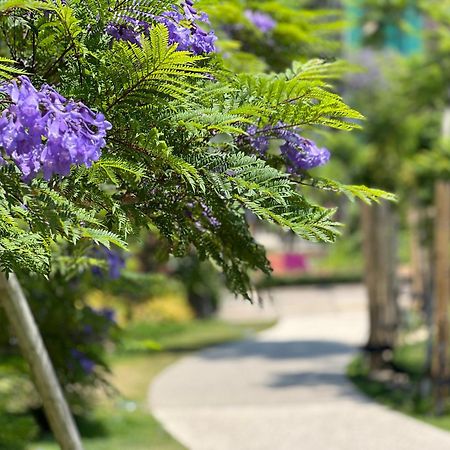 ゲストハウスあさひ Atami  Buitenkant foto