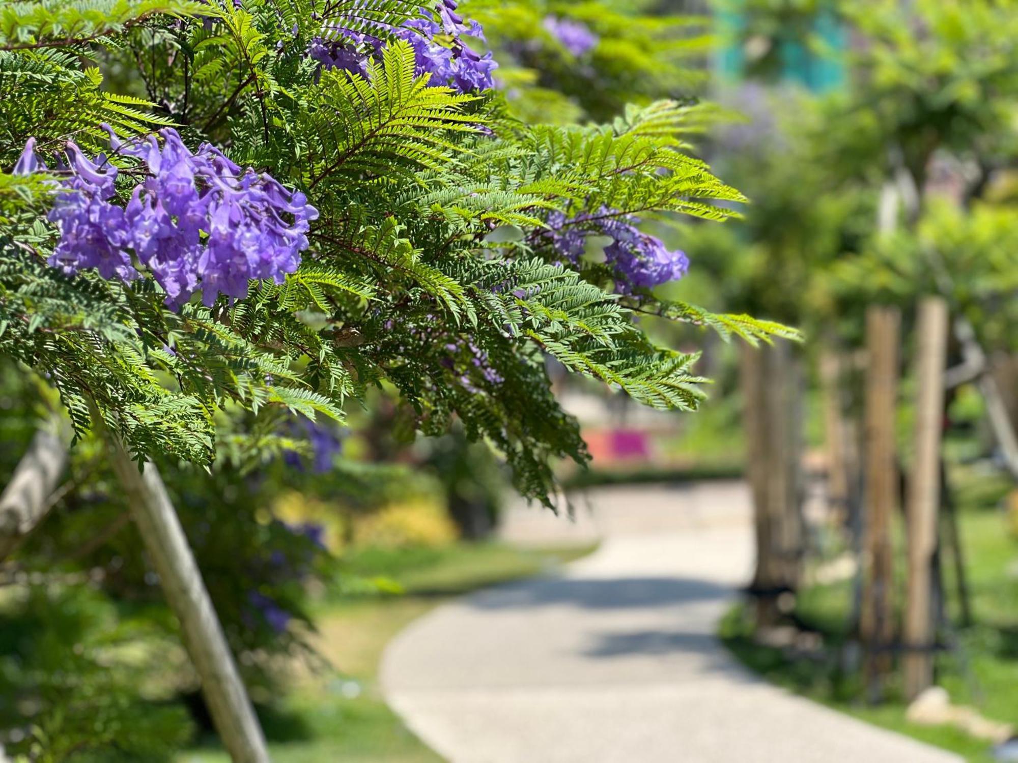 ゲストハウスあさひ Atami  Buitenkant foto